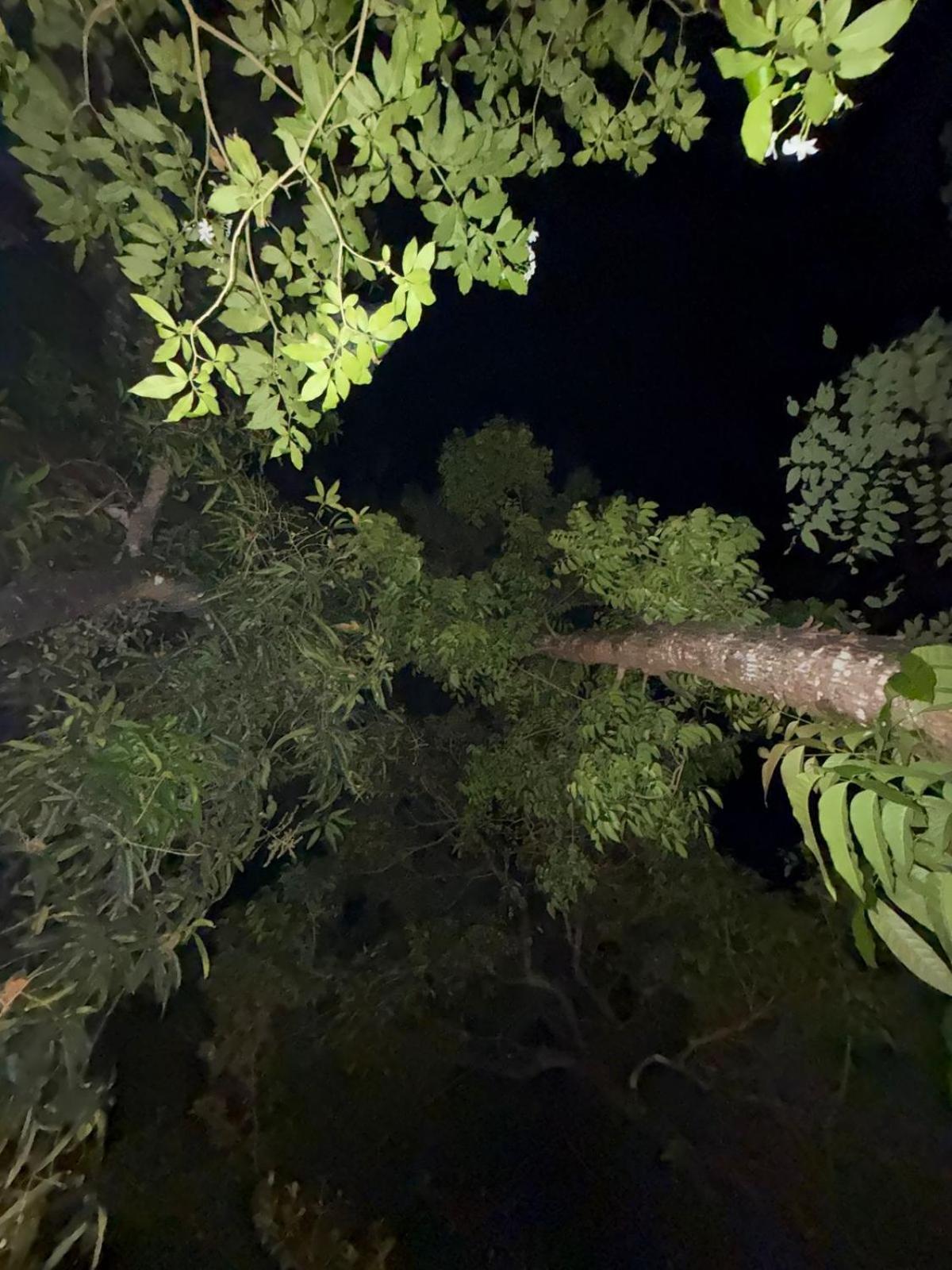 Marari Adonis Beach Villa Mararikulam Esterno foto