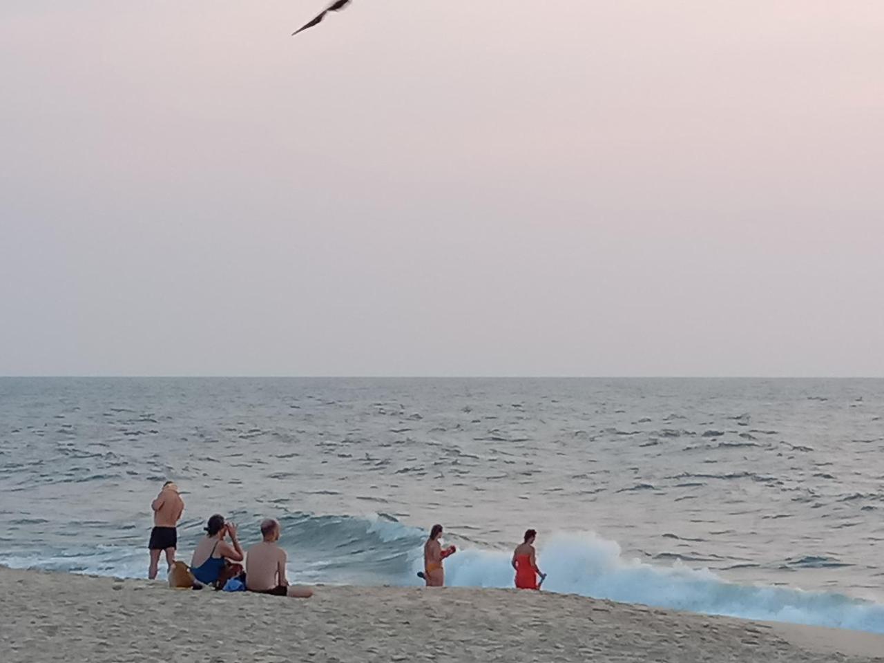 Marari Adonis Beach Villa Mararikulam Esterno foto